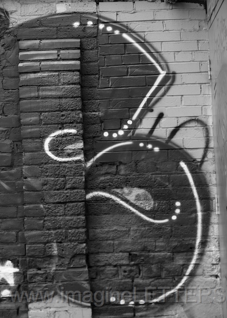 Wall_Art_Alphabet_Photography_Art_ 266.jpg